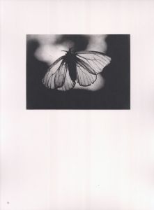 「日本写真史の至宝　安井仲治写真作品集 / 写真：安井仲治　監修：飯沢耕太郎、金子隆一」画像7