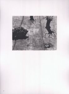 「日本写真史の至宝　安井仲治写真作品集 / 写真：安井仲治　監修：飯沢耕太郎、金子隆一」画像10