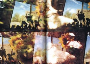 「盲いた黄金の庭 / 吉増剛造」画像2