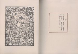 「遊園地廃墟 / 著：川上澄生　構成：今村秀太郎」画像5