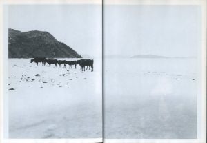 「朱もどろの華　沖縄日記 / 東松照明」画像1