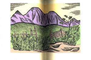 「アラスカ物語　再刊本 / 著：川上澄生」画像6