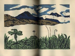 「アラスカ物語 / 著：川上澄生」画像8