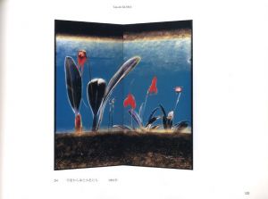 「杵島隆展 / 写真：杵島隆」画像2