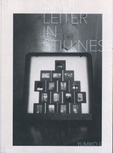 SAUL LEITER IN STILLNESSのサムネール