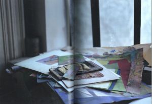 「SAUL LEITER IN STILLNESS / 著：井津由美子」画像2