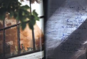 「SAUL LEITER IN STILLNESS / 著：井津由美子」画像6