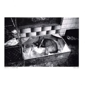 「混沌を往く　北京・上海・広州・重慶 / 写真・文：小川節男」画像2