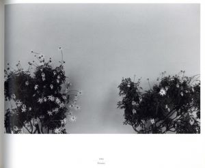 「Ailleurs 1969-1992 / Photo: Koichi Inakoshi Text: Haruki Murakami, Gabriel Bauret」画像6