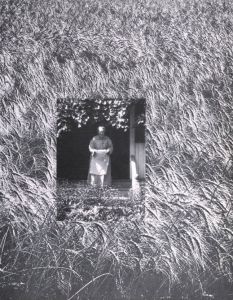 「A LIFE IN PHOTOGRAPHY / Edward Steichen」画像1