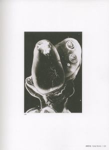 「内藤正敏 異界出現 / 内藤正敏」画像10