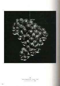 「世界芸術写真史 1839－1989 / 編：セゾン美術館、山岸享子」画像5