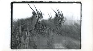 「EXTINCTION EVENT: A WORKBOOK / Photo & Notes:  Lyle Rosbotham」画像2