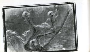 「EXTINCTION EVENT: A WORKBOOK / Photo & Notes:  Lyle Rosbotham」画像3
