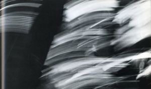 「EXTINCTION EVENT: A WORKBOOK / Photo & Notes:  Lyle Rosbotham」画像4