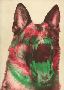 「MADE YOU LOOK / Author: Stefan Sagmeister」画像2
