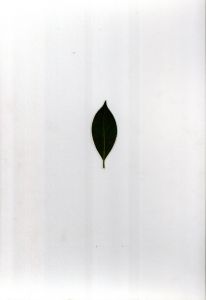 「後藤敬一郎　写真1・2セット / 後藤敬一郎」画像5