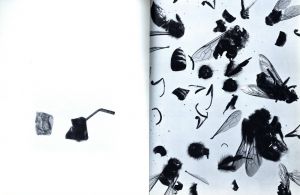 「DAWID / Author:Johan Ehrenberg Illustration: Björn Dawidson」画像4