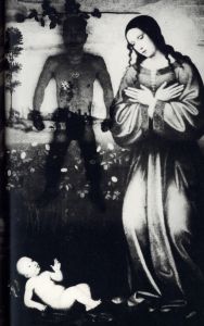 「薔薇刑　二十一世紀版 / 被写体・序文：三島由紀夫　写真：細江英公　造本構成：浅葉克己」画像6