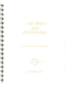 「Idol + Worship / Author: Ho Tam」画像2