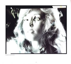 「狂気の遺産 / 写真：リチャード・ミズラック　文：スーザンソンタグ」画像3