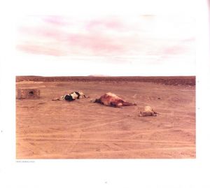 「狂気の遺産 / 写真：リチャード・ミズラック　文：スーザンソンタグ」画像2