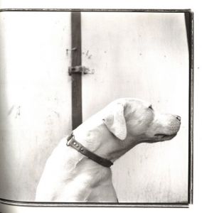 「MOJO / Keith Carter」画像2
