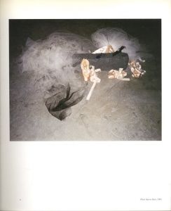 「Karen Kilimnik: 365 Days in the Year of Karen / Karen Kilimnik」画像1