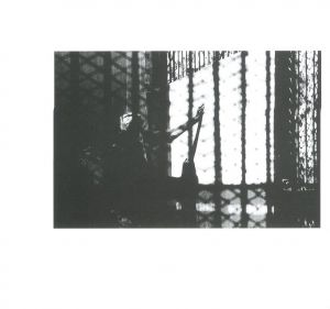 「牛腸茂雄 作品集成 / 牛腸茂雄」画像5