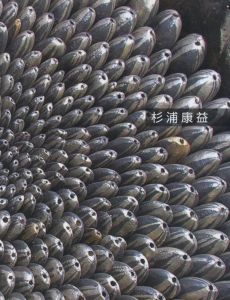 杉浦康益　陶の花・陶の岩・陶の木立のサムネール