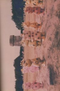 「W. W. BOO. / 写真：今井アレクサンドル」画像4