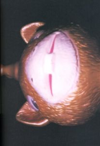 「W. W. BOO. / 写真：今井アレクサンドル」画像6