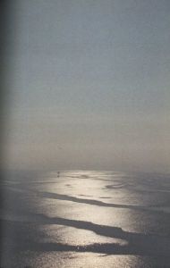 「LINA SCHEYNIUS 05 / Lina Scheynius」画像4