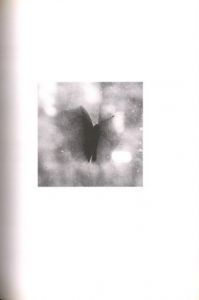 「LINA SCHEYNIUS 07 / Lina Scheynius」画像3
