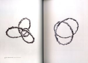 「オラファー・エリアソン展：相互に繋がりあう瞬間が協和する周期 / オラファー・エリアソン」画像1