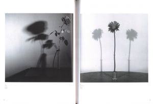 「メイプルソープ & アラーキー　百花乱々展 / 著：ロバート・メイプルソープ、荒木経惟」画像1