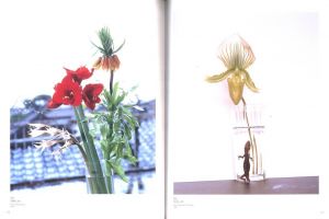 「メイプルソープ & アラーキー　百花乱々展 / 著：ロバート・メイプルソープ、荒木経惟」画像2