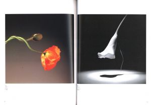 「メイプルソープ & アラーキー　百花乱々展 / 著：ロバート・メイプルソープ、荒木経惟」画像3