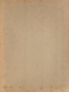 「A PORTRAIT BY ALFRED STIEGLITZ / Author: Alfred Stieglitz　Foreword: Georgia O'Keeffe」画像1