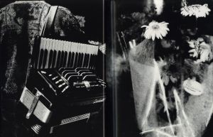 「Enter the Mirror / 著者：中藤毅彦　編集者：津田基　装丁者：秋山伸」画像4