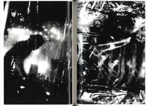 「bibo / 進藤万里子」画像2