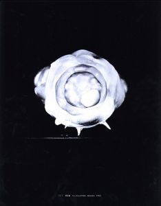 「100 SUNS 1945-1962 / Photo: Michael Light」画像1