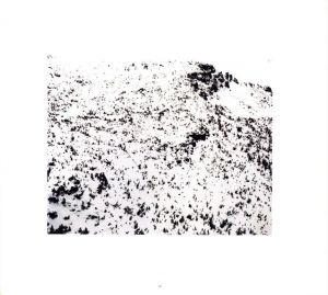 「Andreas Gursky Photographs from 1984 to the Present / Andreas Gursky」画像7