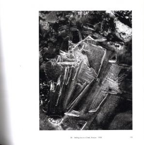 「Edward Weston: A LEGACY / Photo: Edward Weston」画像4