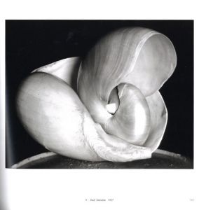 「Edward Weston: A LEGACY / Photo: Edward Weston」画像1