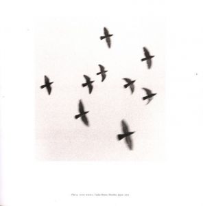 「RETROSPECTIVE TWO / Author: Michael Kenna」画像1