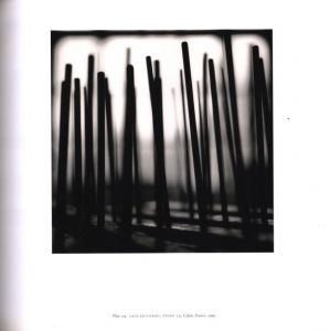 「RETROSPECTIVE TWO / Author: Michael Kenna」画像7