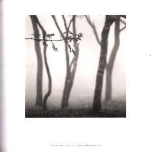 「RETROSPECTIVE TWO / Author: Michael Kenna」画像8