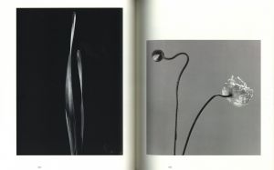 「色とかたち / 石元泰博」画像2