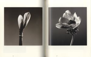 「色とかたち / 石元泰博」画像3